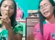Live di Medsos Saat Karaoke, Hertalina Simanjuntak Tewas di Tangan Suaminya