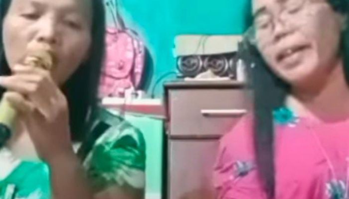Live di Medsos Saat Karaoke, Hertalina Simanjuntak Tewas di Tangan Suaminya