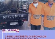 Aparat Ungkap Kasus Pencurian Kerbau di Sipoholon, Dua Tersangka Dibekuk