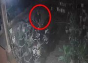 Pencurian Sepeda Motor Terjadi di Kosan Medan Johor, Tiga Kendaraan Raib