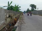 Dinas SDABMBK Deli Serdang Gencarkan Pembersihan Drainase untuk Antisipasi Banjir
