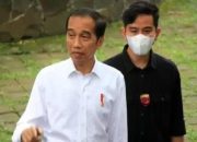 PDIP Resmi Pecat Jokowi, Gibran, dan Bobby, NasDem Buka Pintu
