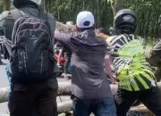 Ranting Pohon Tumbang Timpa Pengendara, Satu Orang Meninggal Dunia