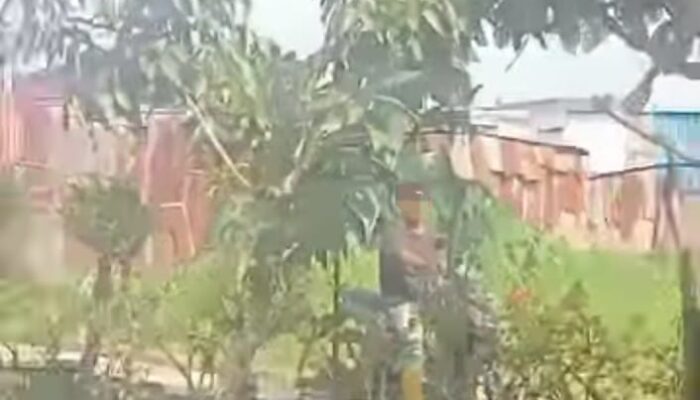 Pelaku Eksibisionis Gentayangan Membuat Warga Cinta Rakyat Resah