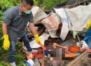 Geger! Mayat Perempuan Ditemukan Membusuk di Pahae Julu