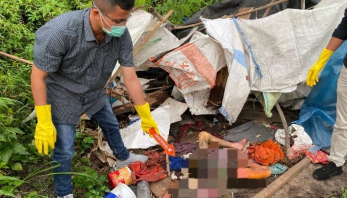 Geger! Mayat Perempuan Ditemukan Membusuk di Pahae Julu