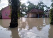 BNPB: Banjir Rendam Sejumlah Wilayah di Lampung dan Sumatera Selatan, Ratusan Rumah Terdampak