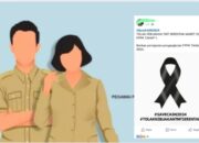 Penundaan Pengangkatan CASN 2024 Picu Kebingungan dan Kekecewaan Pelamar