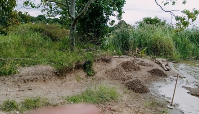 Pasir Habis, Air Naik! Masyarakat Samosir Desak Pemkab Hentikan Penggalian di Danau Toba