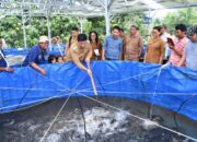 Panen Perdana, Bupati Samosir Apresiasi Pokdakan Mekar Hasilkan 250 Kg Ikan Nila dalam 4 Bulan
