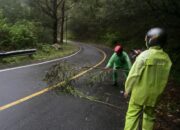 Personel Polres Samosir Bersihkan Dahan Penghalang di Jalan Pangururan-Tele