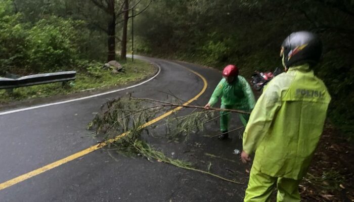 Personel Polres Samosir Bersihkan Dahan Penghalang di Jalan Pangururan-Tele