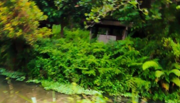 Gang Pulobatu Disorot! Baginda Cs Diduga Bebas Edarkan Narkoba Tanpa Tersentuh Hukum