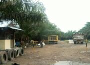Puluhan Tahun Beroperasi, PT THONG di Palas Diklaim Tak Pernah Bantu Warga Sekitar