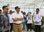 Ketua DEN Luhut Binsar Pandjaitan Kunjungi TSTH2 Pollung, Ada Misi di Baliknya!