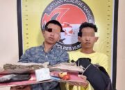 Polisi Tangkap Dua Pemuda Diduga Pengedar Ganja di Humbahas, Barang Bukti Capai 106 Gram