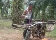 Cegat Panen Paksa di Tobing Tinggi, Durbaya Diduga Dianiaya dan Laporkan Haposan ke Polisi