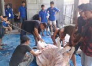 KSPSI AGN Sumut Sembelih 3 Hewan Kurban untuk Buruh
