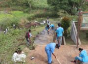 Toba Bergerak: Gotong Royong Massal Demi Rebut Kembali Green Card UNESCO