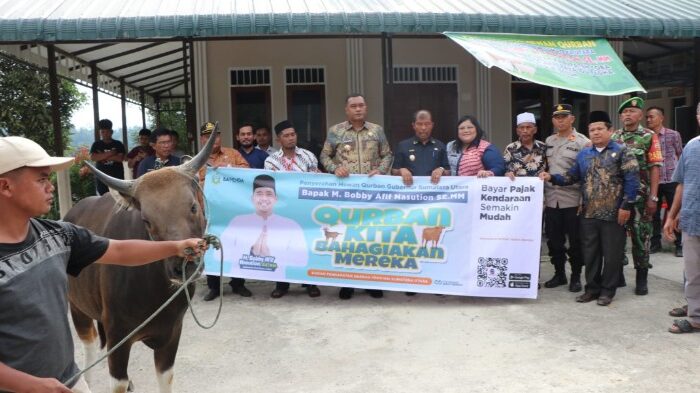 Presiden dan Gubernur Sumut Serahkan Sapi Qurban untuk Umat Muslim di Toba