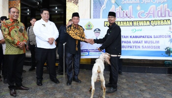 Presiden, Gubernur, dan Pemkab Samosir Berbagi Hewan Kurban untuk Umat Muslim di Samosir