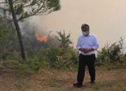 Hutan Hutaginjang Terbakar, Wabup Taput Turun ke Lokasi