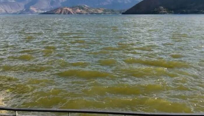 Air Danau Toba Mendadak Keruh, Ahli USU Ungkap Fakta Mengejutkan