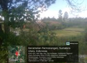 Warga Aekraja Keluhkan Kabel Listrik Membahayakan di Ladang, PLN: Segera Diperbaiki Jika Milik Kami