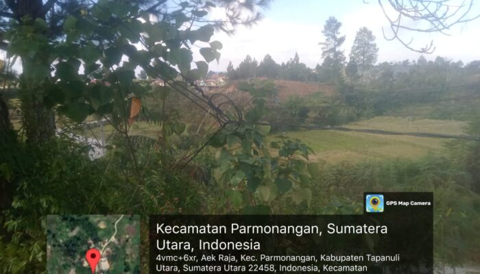 Warga Aekraja Keluhkan Kabel Listrik Membahayakan di Ladang, PLN: Segera Diperbaiki Jika Milik Kami