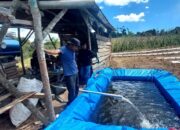 Musim Kemarau, DLH Humbahas Salurkan Air ke Petani Lintongnihuta