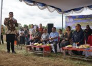 Gubernur Sumut Ikut Tanam Jagung di Parmonangan Taput, 17 Hektare Lahan Disiapkan