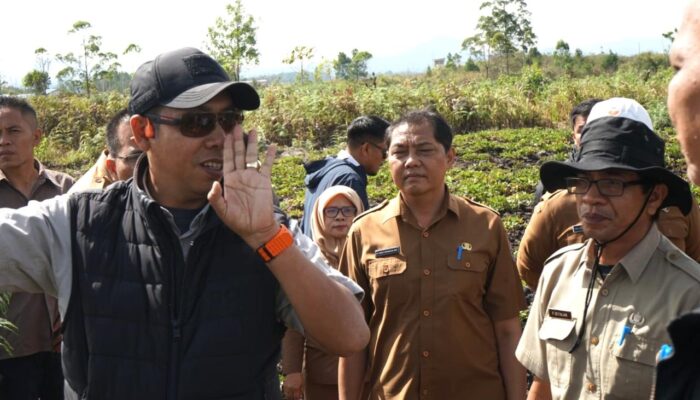 Rumah Sakit Baru dan Pangkalan TNI AU Segera Dibangun di Taput, Ini Rencana Lokasinya