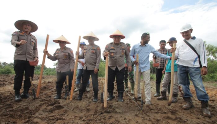 Polres Sergei Gandeng PT. Soeloeng Laoet Tanam Jagung 2 Hektar