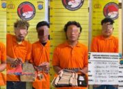 6 Pelaku Narkoba Ditangkap Polisi di Taput: 1 Residivis, Ganja & Sabu Diamankan
