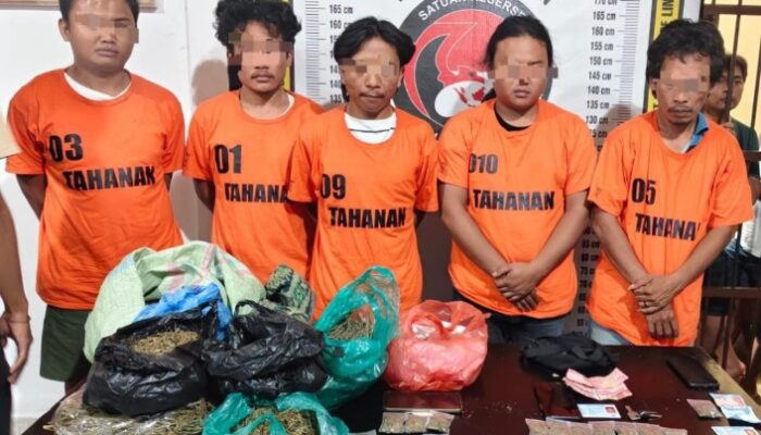 Mahasiswa Universitas HKBP Nomensen Diduga Jadi Pemasok Ganja di Parapat