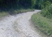 Jalan Rusak Parah di Kecamatan Pakkat Humbahas, Warga Keluhkan Tak Ada Perhatian Pemerintah