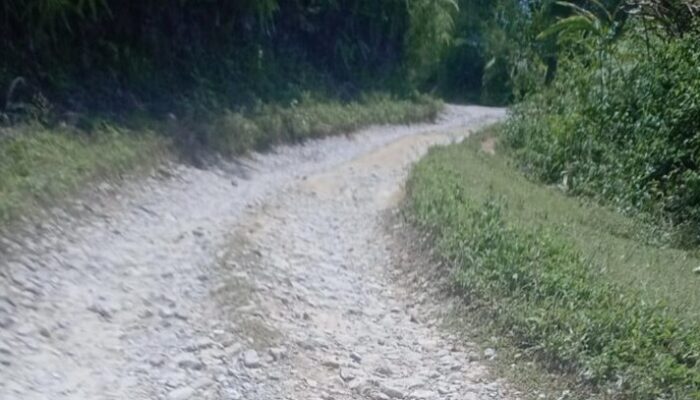 Jalan Rusak Parah di Kecamatan Pakkat Humbahas, Warga Keluhkan Tak Ada Perhatian Pemerintah