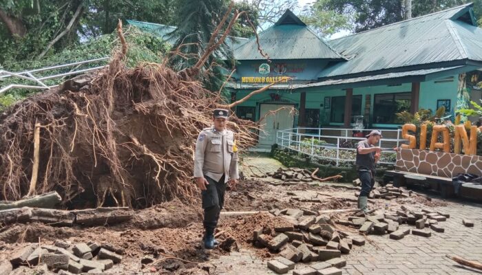 Pohon Tumbang Timpa Kandang Burung di Taman Hewan Pematangsiantar, Polisi Imbau Pengunjung Waspada