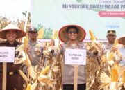 Polda Aceh Panen 24,5 Ton Jagung di Aceh Jaya