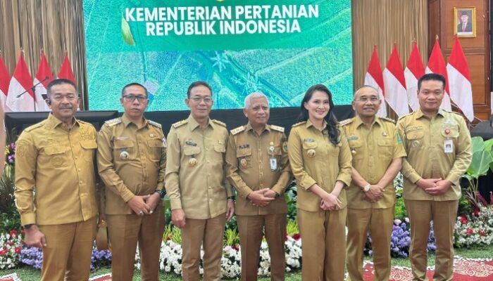 JTP Hutabarat Usulkan Bibit Kopi dan Kakao untuk Percepatan Hilirisasi Perkebunan Taput