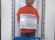 Polres Pematangsiantar Grebek Residivis di Tengah Malam, Ganja Ditemukan di Atas Pintu Rumah!