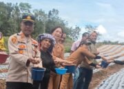 Didukung Kementan & LBP, Wabup: Humbahas Siap Jadi Sentra Bawang Putih Nasional