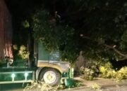 Respon Cepat Polsek Siantar Martoba Atasi Insiden Truk Sangkut Pohon