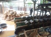 Tambang Ilegal di Angsel Makin Bebas Beroperasi, Ada Pembiaran atau Ada Upeti?