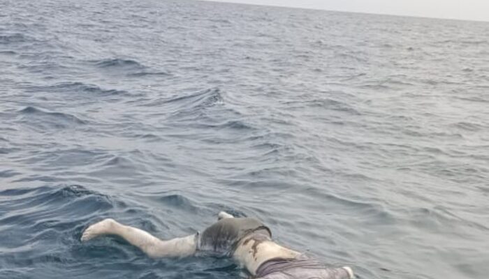 Tragis, Nelayan Asal Teluk Mengkudu Ditemukan Meninggal di Perairan Pulau Pandang