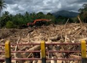 Mahmudin Bantah Keras Namanya Dicatut dalam Kasus Penyegelan Perusahaan Kehutanan