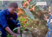 APH Dinilai Lamban, Penyelidikan Hulu Aek Garoga Baru Dimulai Setelah Korban Berjatuhan