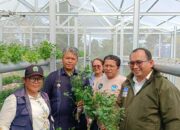 Taput Luncurkan Green House IoT: Wabup Deni Dorong Petani Milenial Kuasai Teknologi