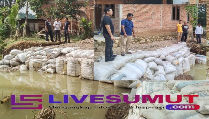 Pemulihan Pascabanjir, Kadis Sosial dan BPBD Padangsidimpuan Tinjau Kondisi Warga Manunggang Julu