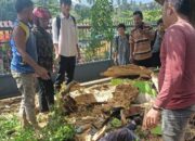 Menunggu Angkot Berujung Maut, Pelajar SMP Tewas Tertimpa Pohon Lapuk
